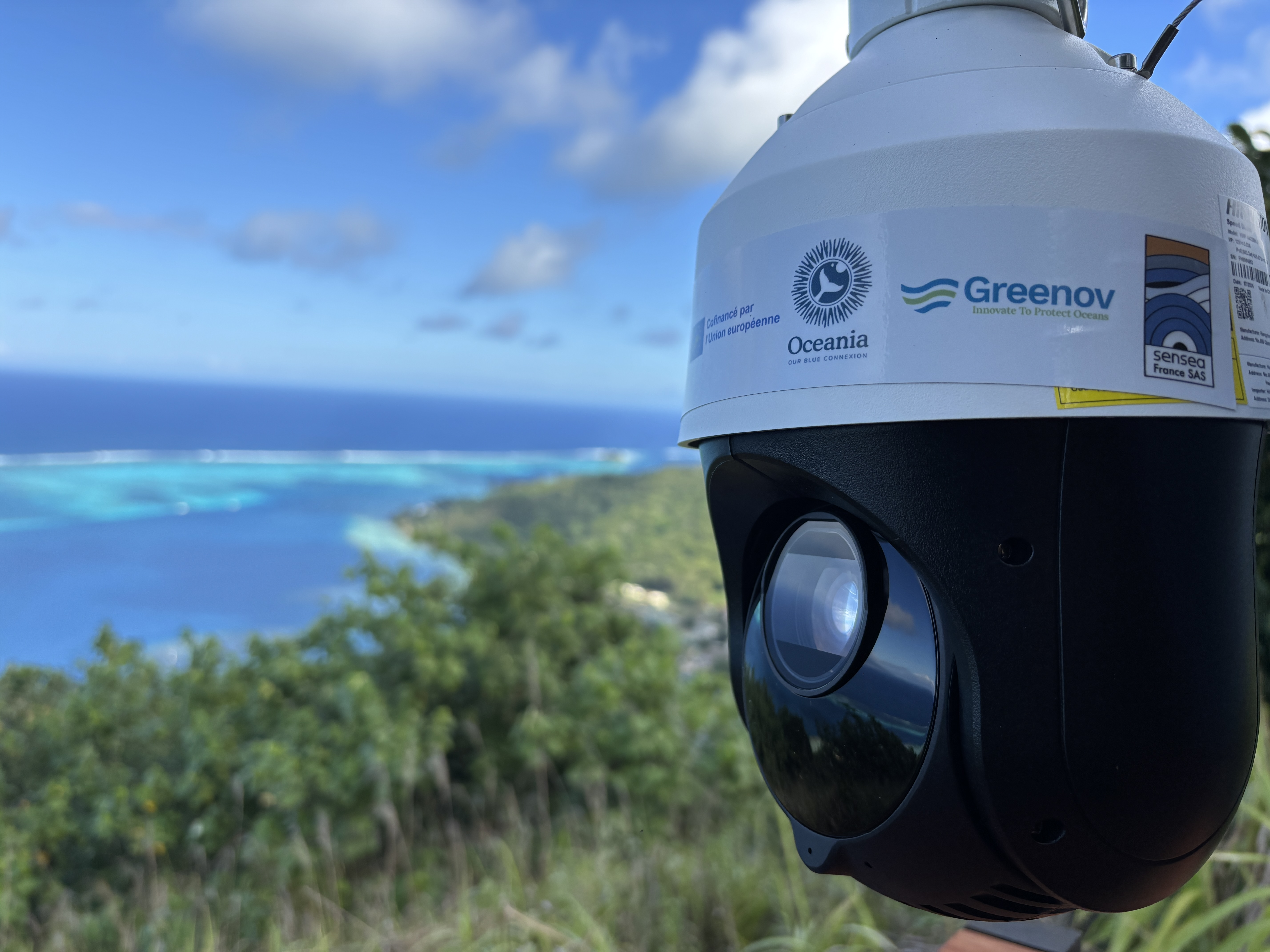 Le projet OceanIA combine caméras haute définition et intelligence artificielle et vise à détecter les baleines en temps réel pour prévenir les collisions avec les navires.  ©Oceania