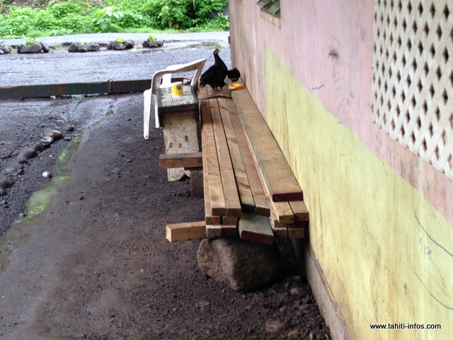Tehina Temahahe a reçu du bois, des contreplaqués, de la peinture et des clous, mais pas de tôles.