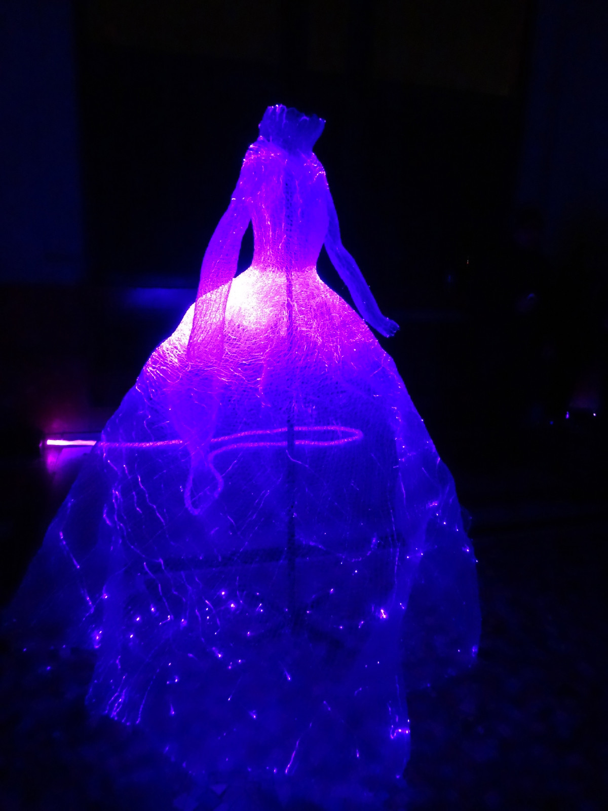 Une "robe luminescente" qui s'allume en fonction des mouvements présentée à Mulhouse