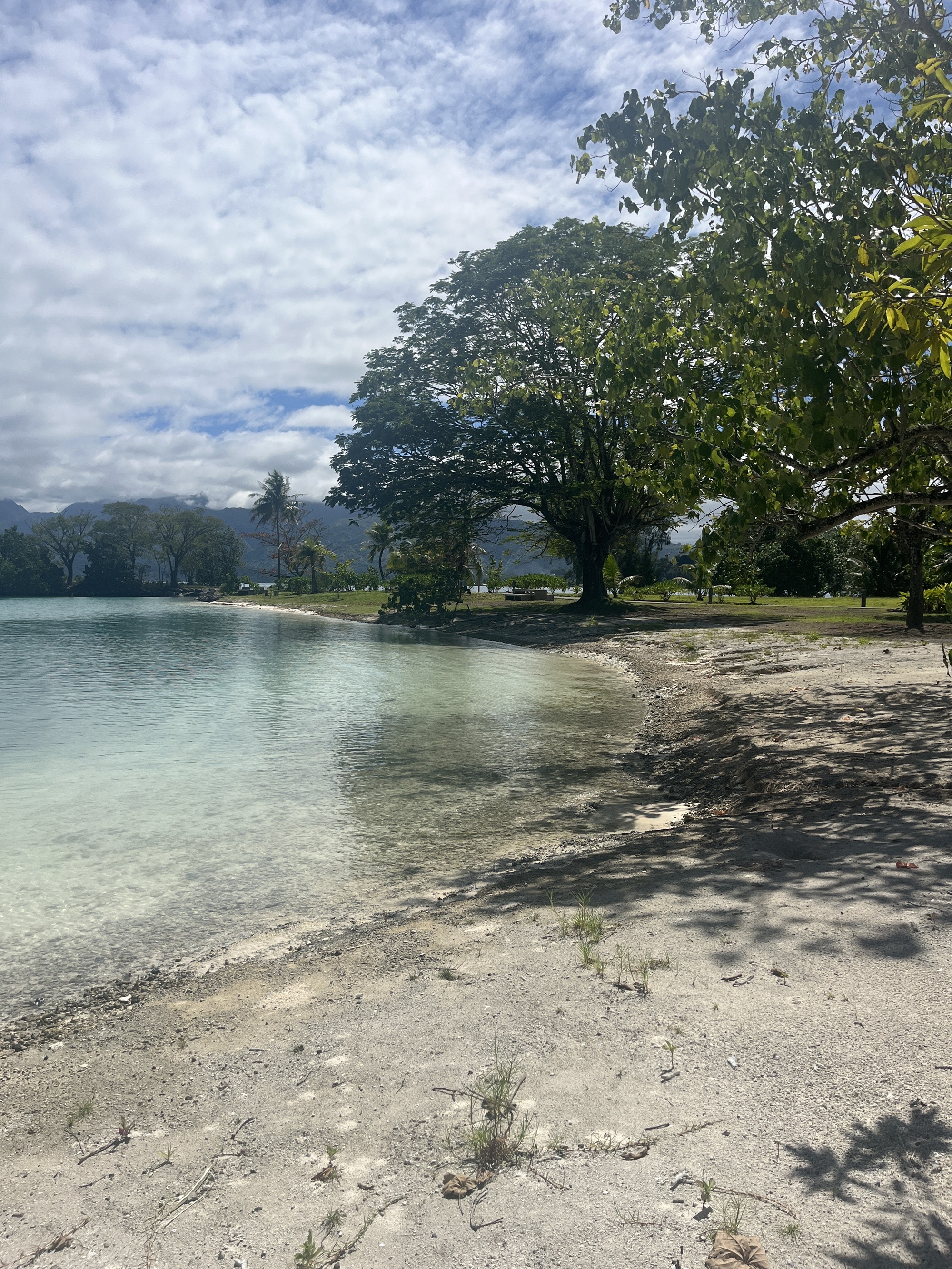 L’entreprise gestionnaire souhaite réensabler durablement la plage (Crédit : Haumea Mana).