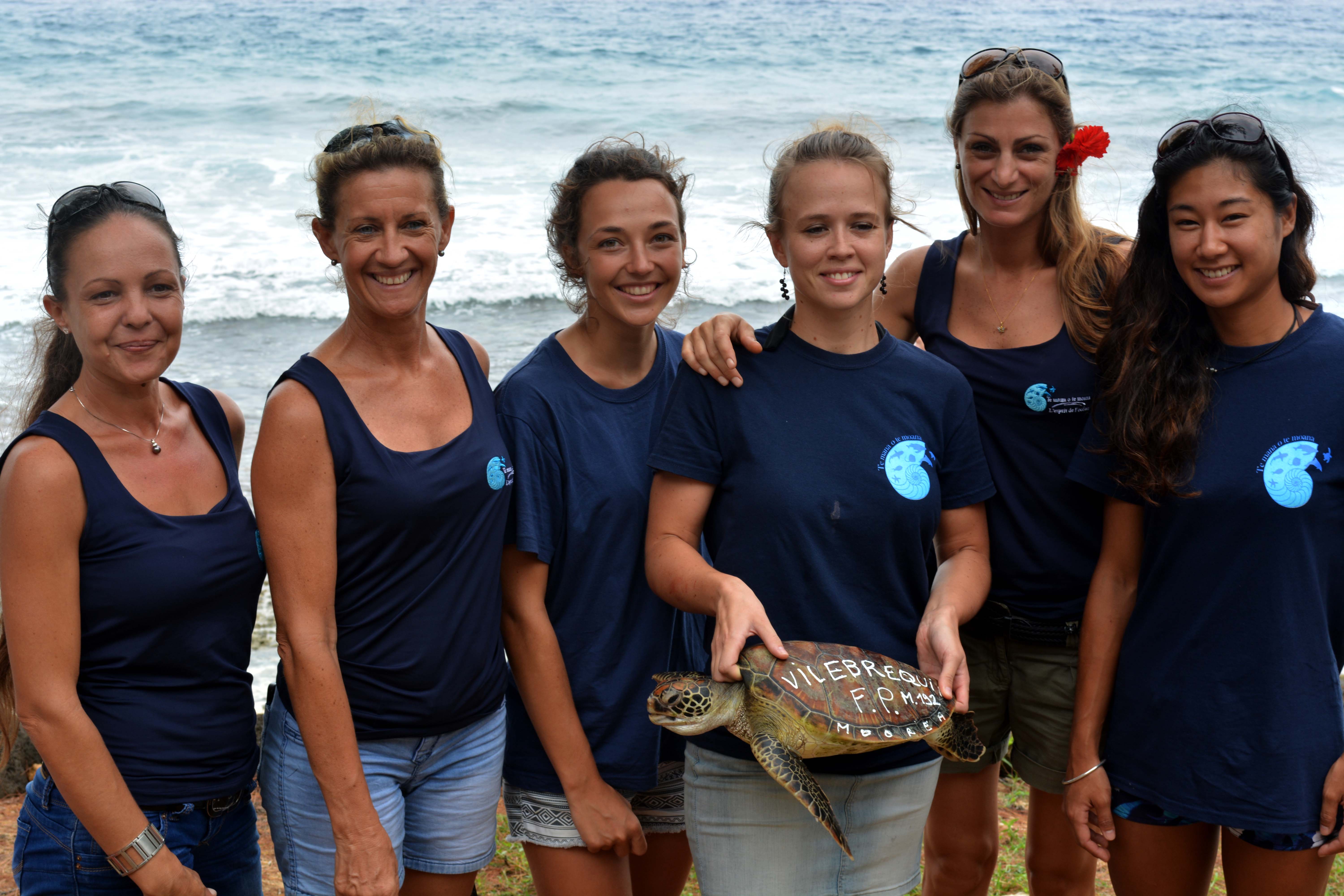 Deux tortues vertes relâchées à Temae  