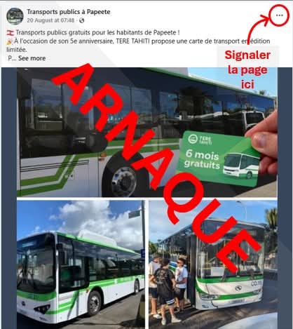 Aperçu de la page frauduleuse (Crédit : capture écran).