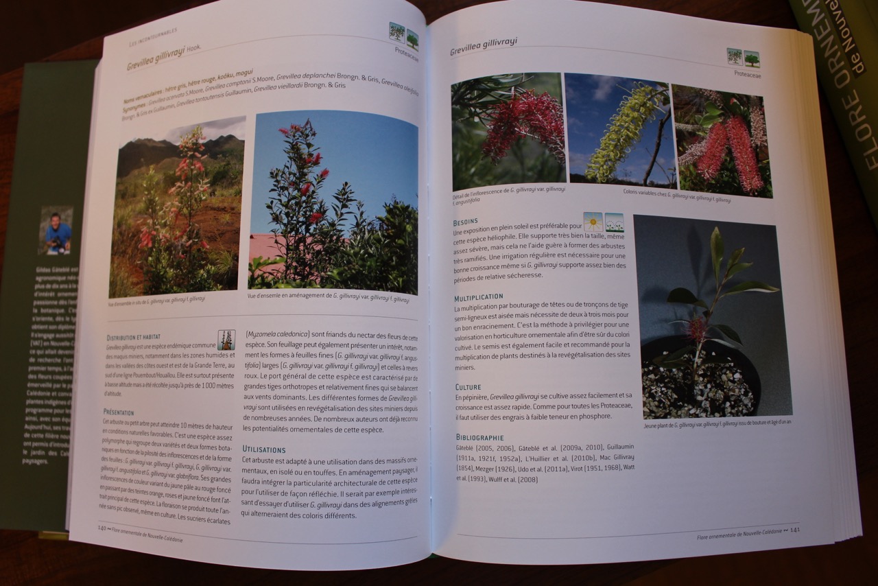 Sept cents belles plantes mises à nu