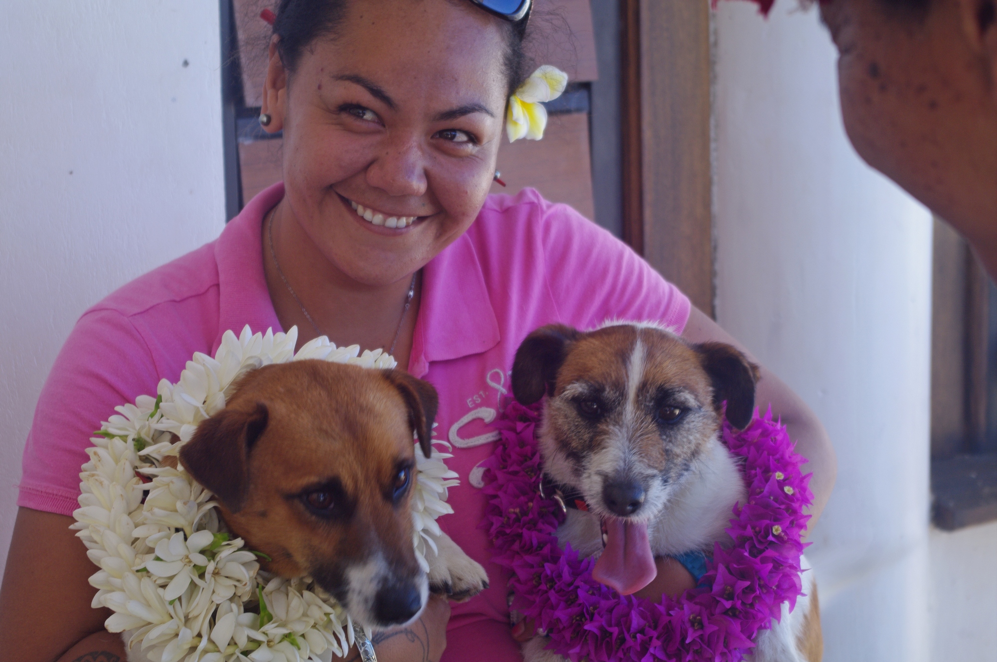 Lutte contre le rat noir : six mois de travail pour Dora et Wisky 