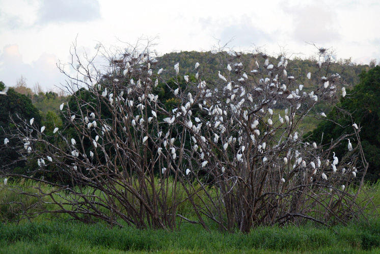 Crédit MARCEL MOCHET / AFP