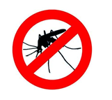 Stop aux piqûres de moustiques