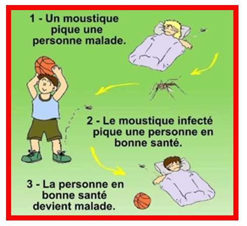 Stop aux piqûres de moustiques