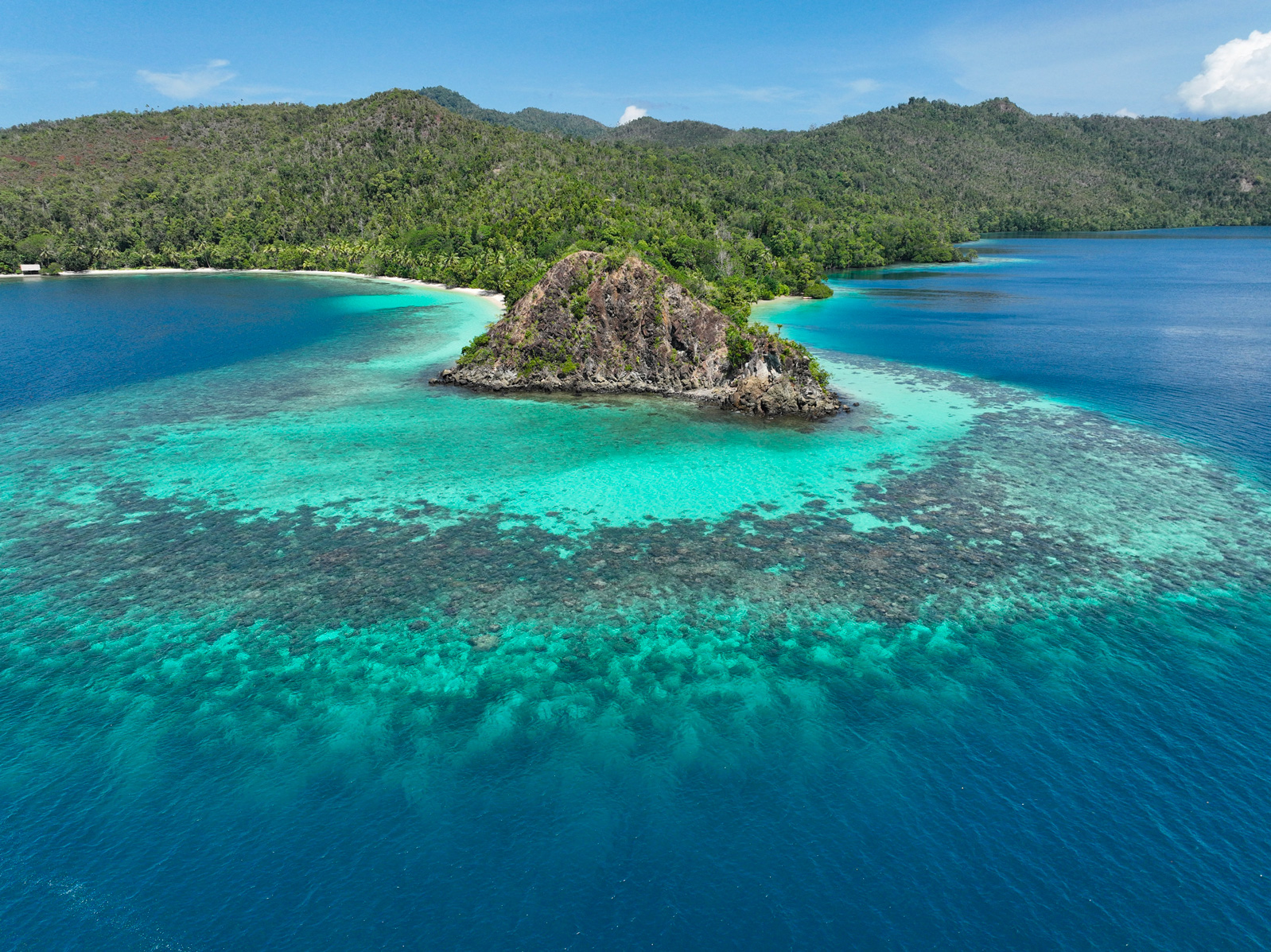 Handout / AURIGA NUSANTARA / AFP