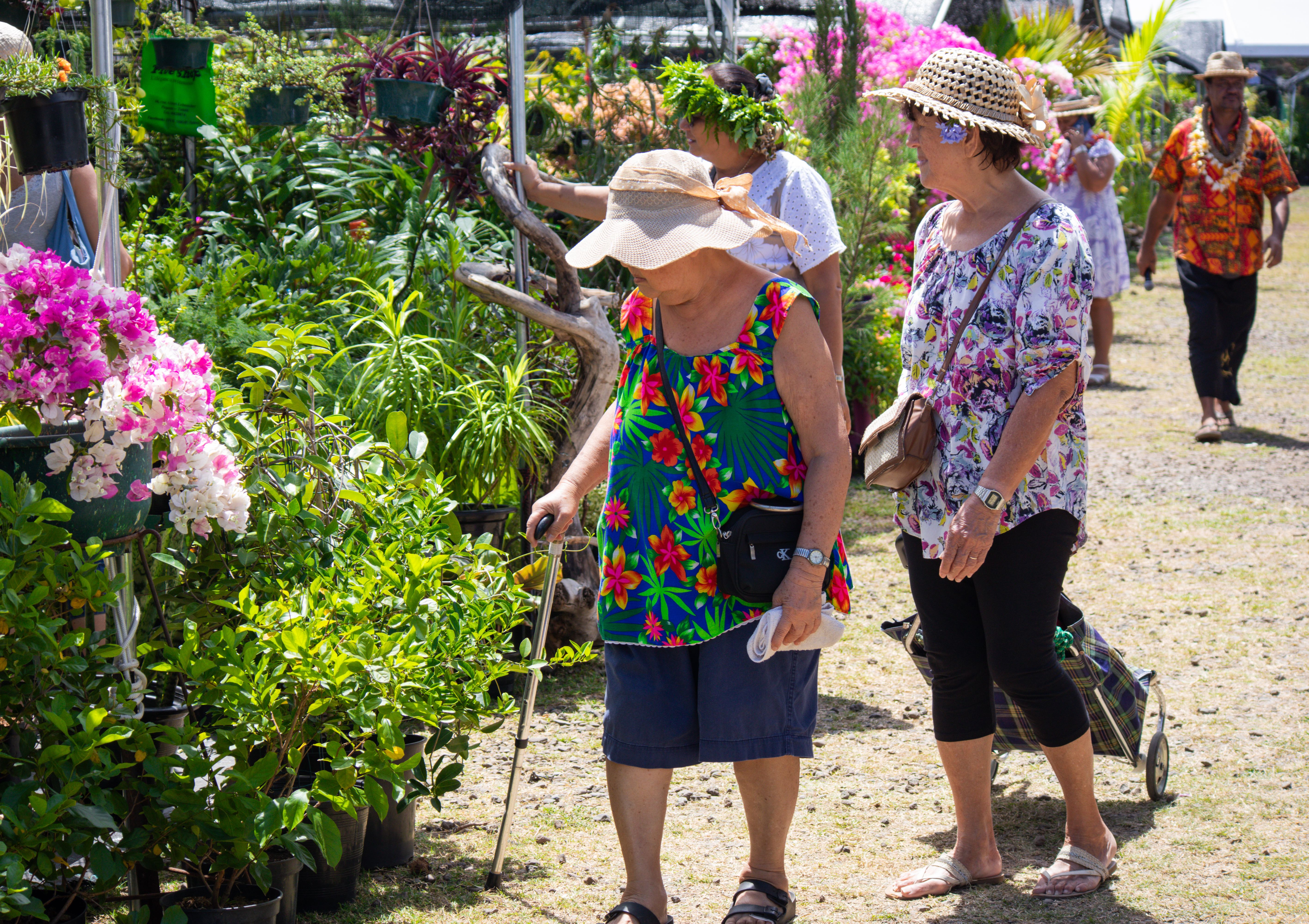 Le thème de la foire choisi cette année est “À la découverte des temps anciens – I tera rā tau”. © DM