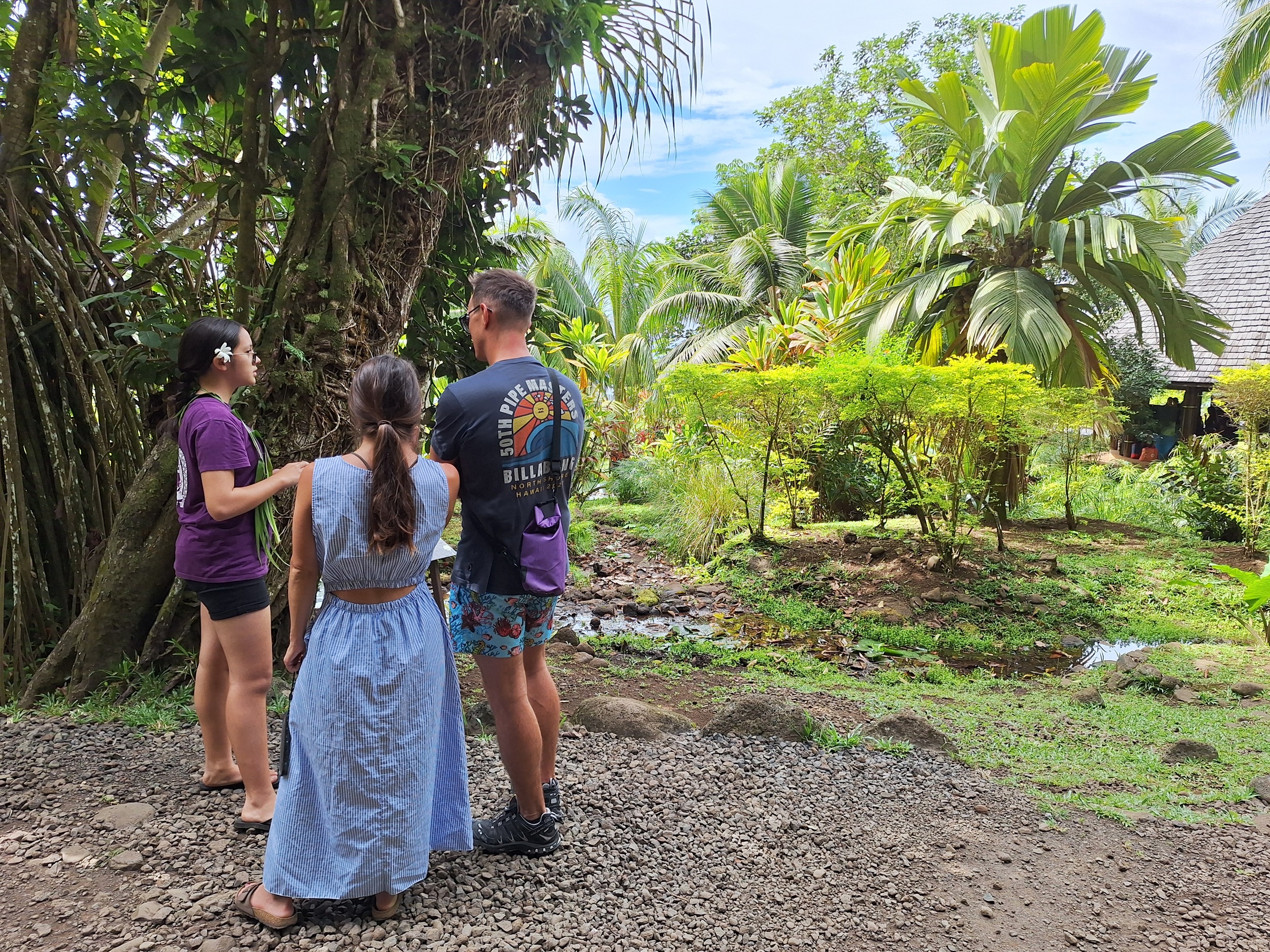 Présentation en anglais des espèces remarquables du site.