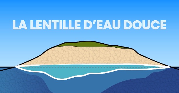 Une motion pour préserver les lentilles d’eau douce des atolls