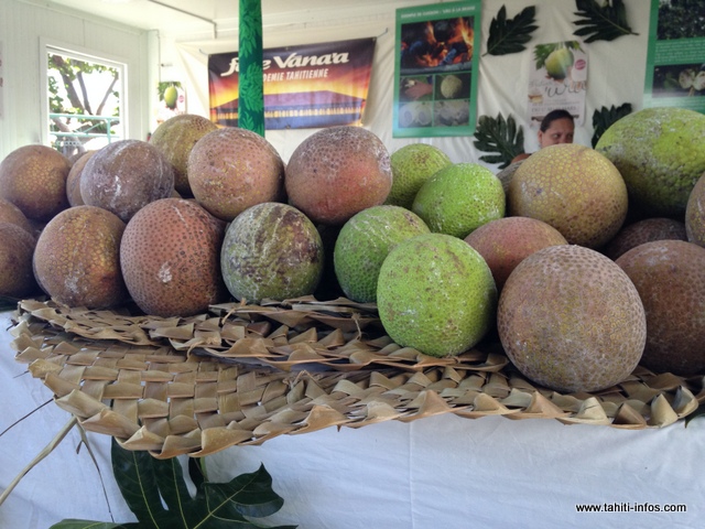 E hope te Heiva no te 'uru mahana mā'a i te Fare Tauhiti Nui