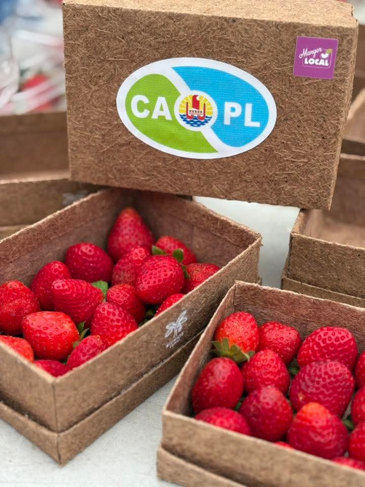 Les premières fraises de Tubuai à la foire agricole