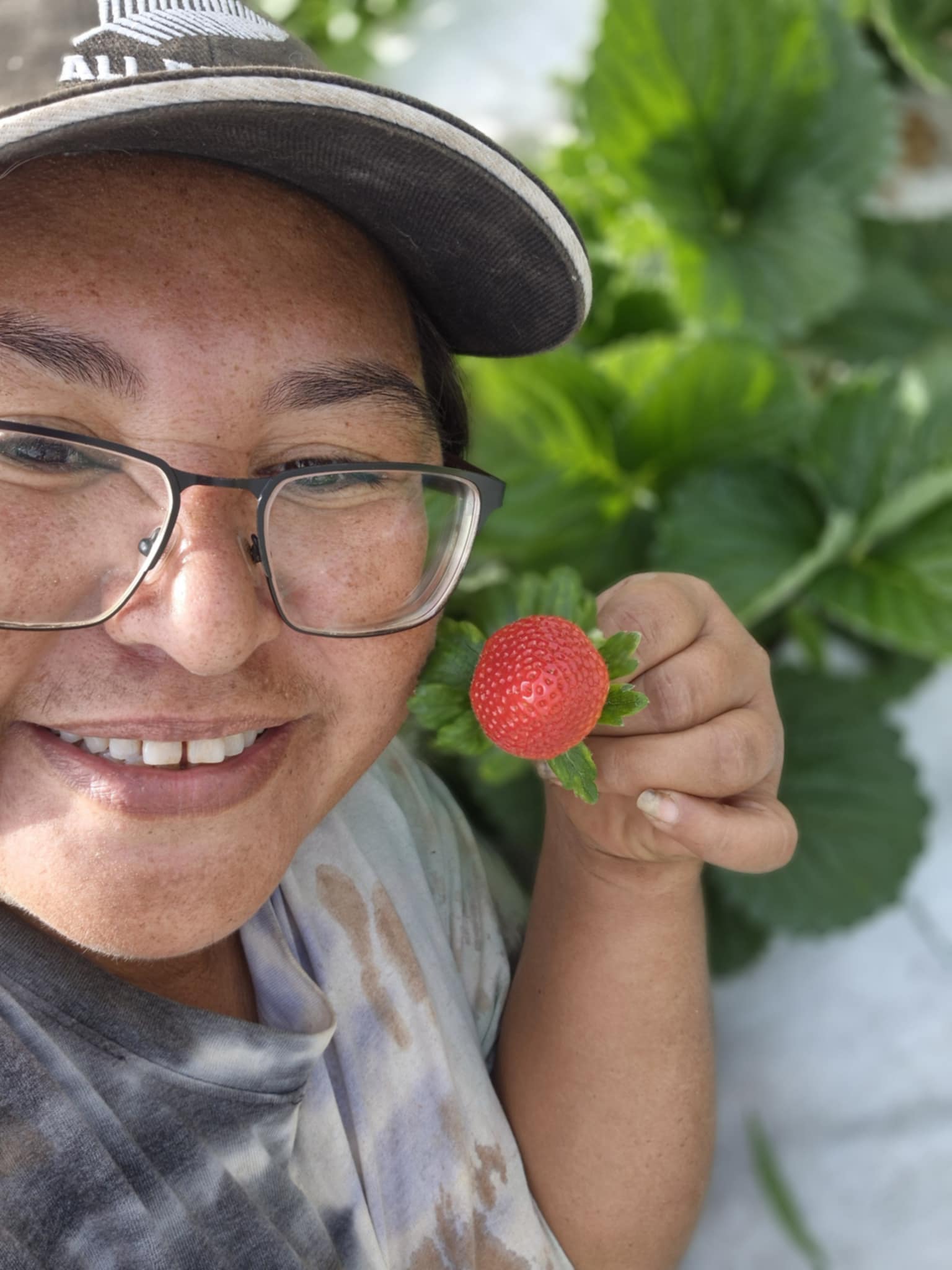 Les premières fraises de Tubuai à la foire agricole