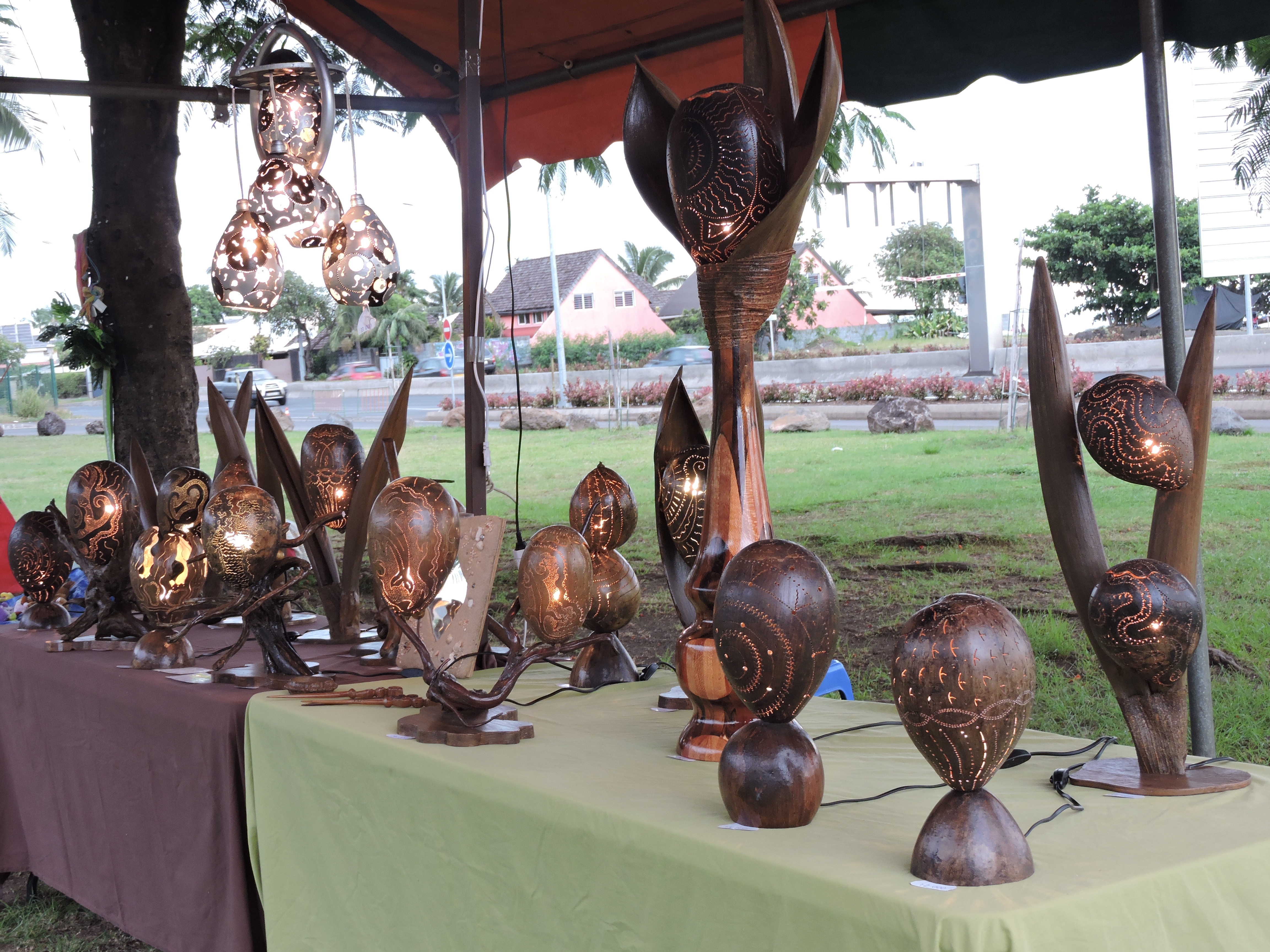 Earth Hour : le concert démarre à 20 h 30