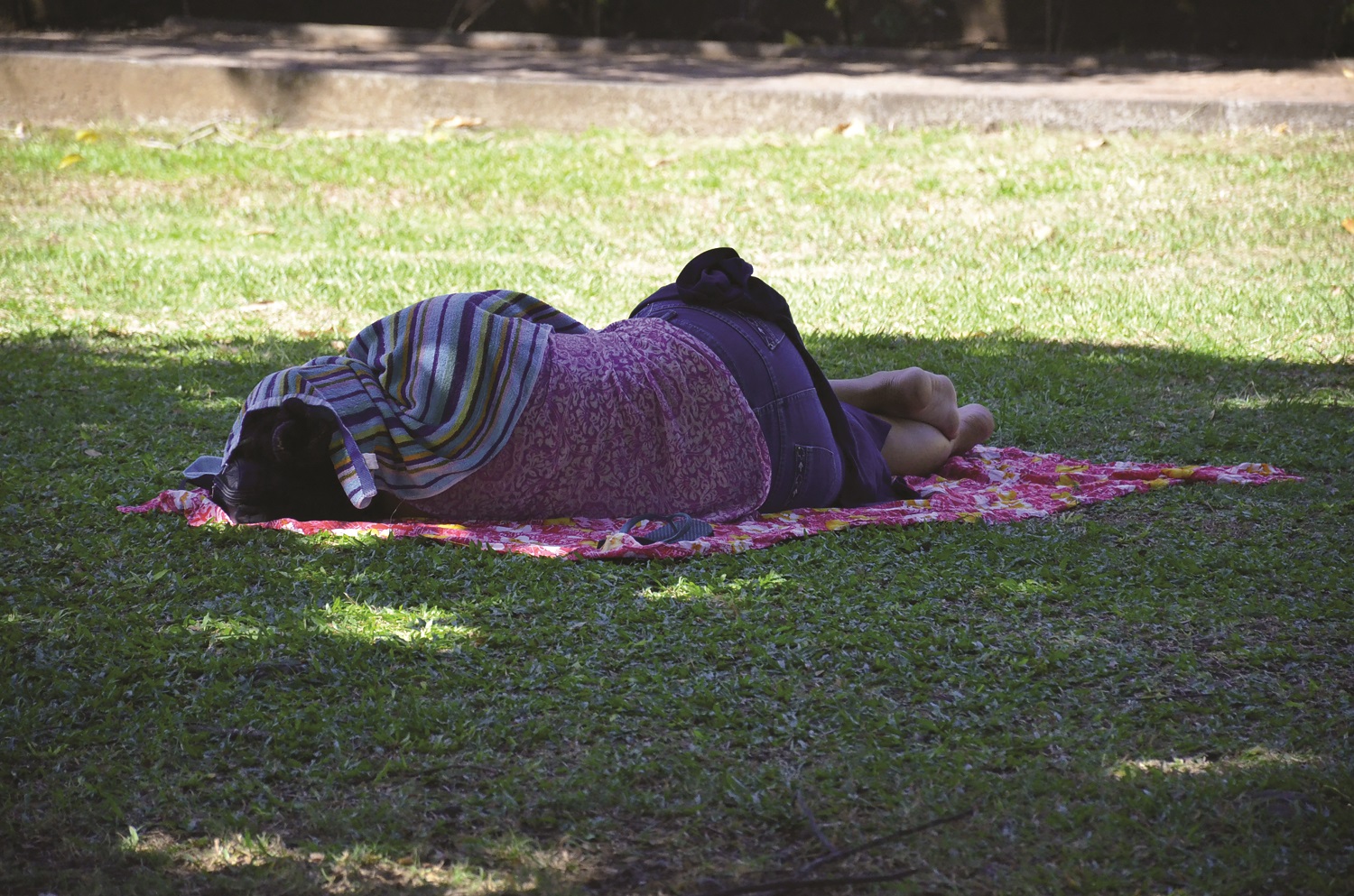 Le pilotage de la lutte contre la pauvreté à revoir