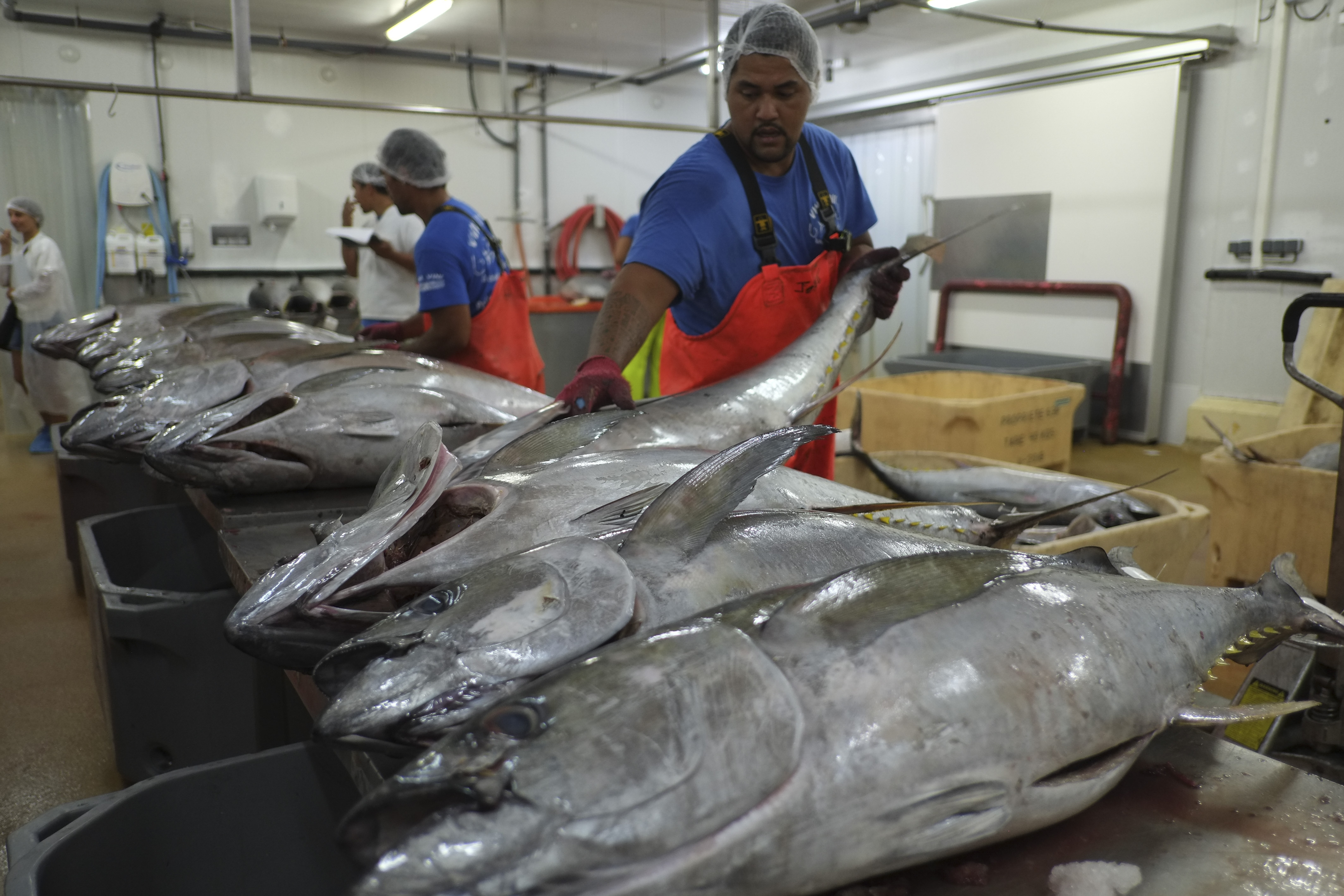 Le Campus des métiers et des qualifications de la mer a pour objectif de répondre aux besoins en compétences exprimés par les entreprises du Fenua.