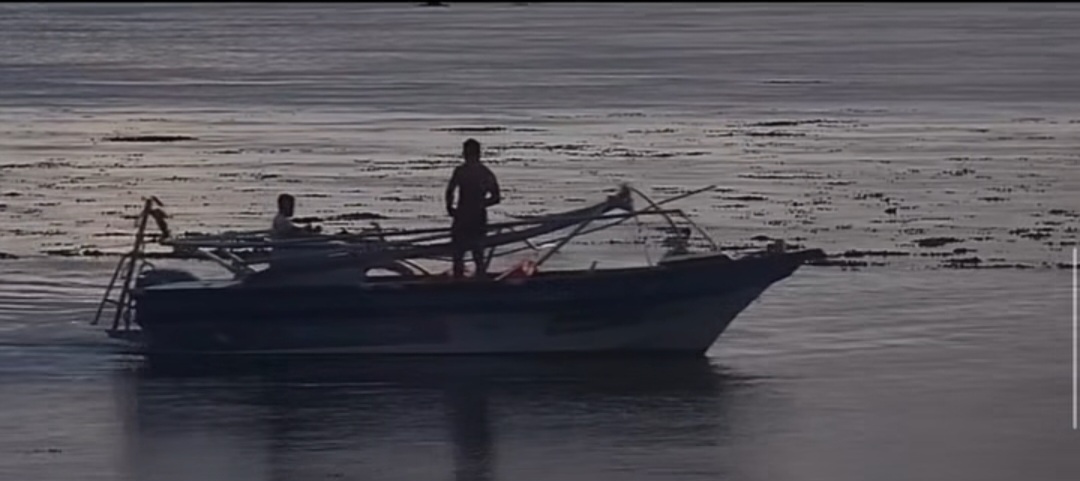 Plus de peur que de mal pour le pilote et ses deux passagers (Crédit : capture écran/Surfline).