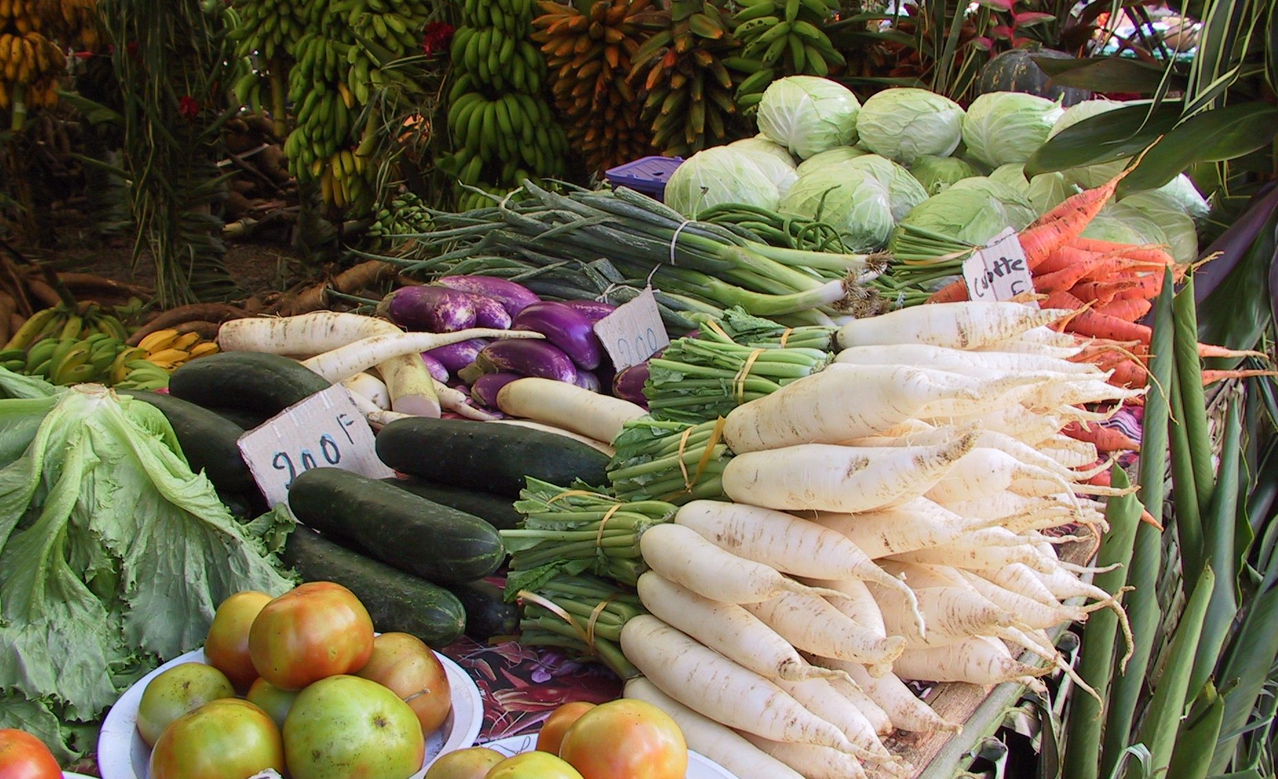 Le pass Tama'a maita'i mal cuisiné