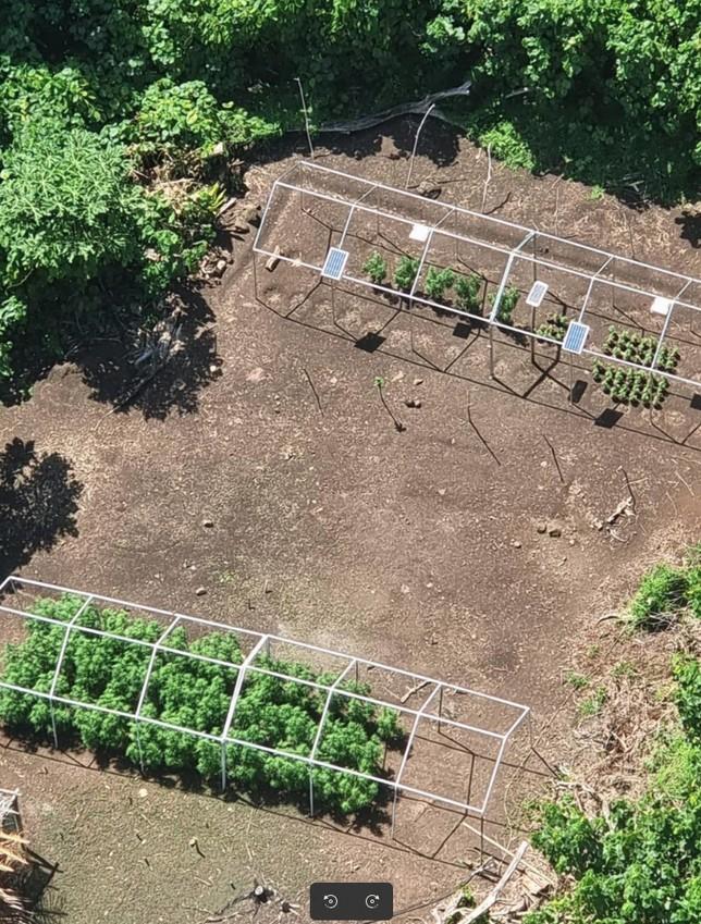 Saisie de Paka à Huahine