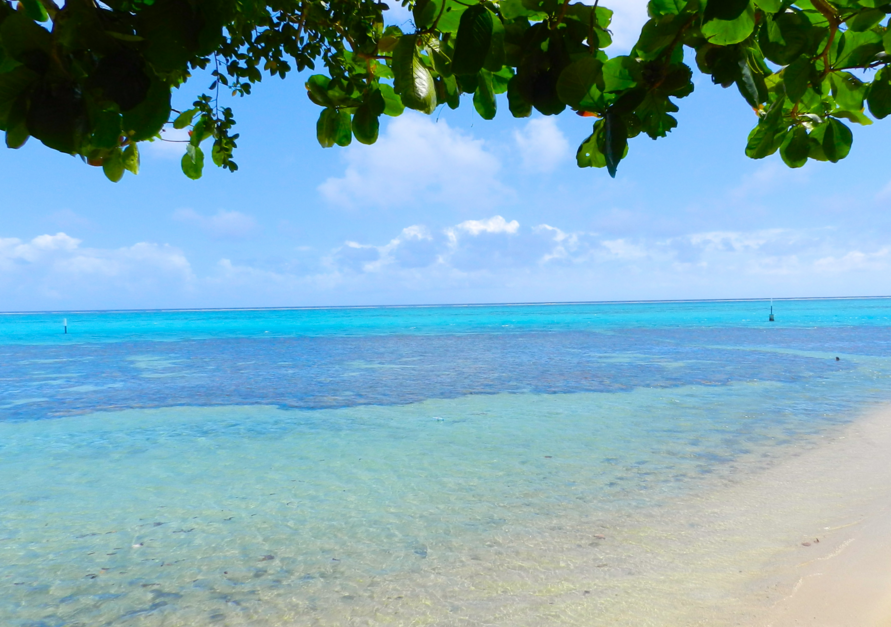 Moorea : un exercice pour éviter les noyades
