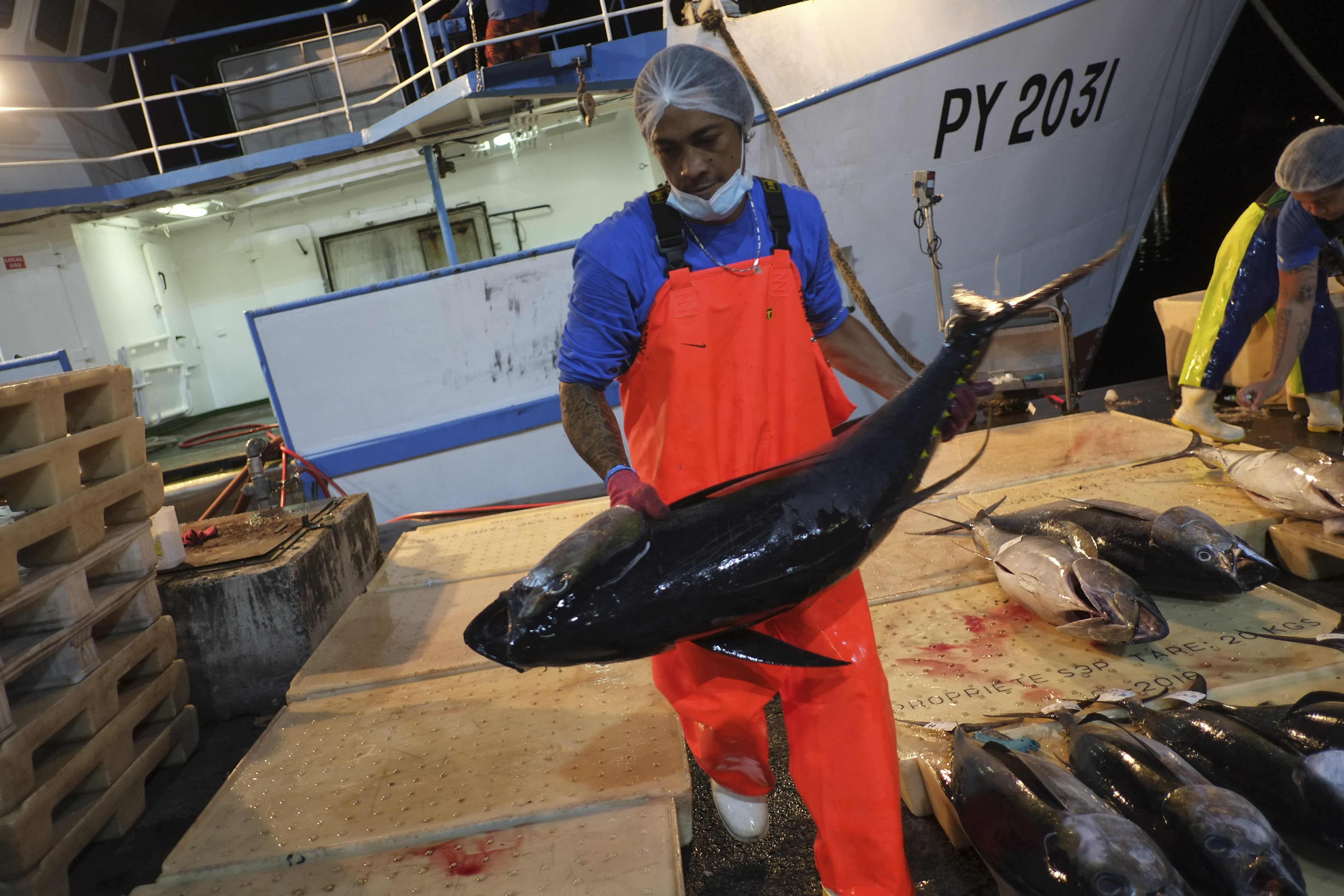 La nouvelle certification permettra au Fenua de continuer à exporter ses produits de la pêche vers les Etats-Unis à partir du 1er janvier 2026 et jusqu'au 31 décembre 2029.