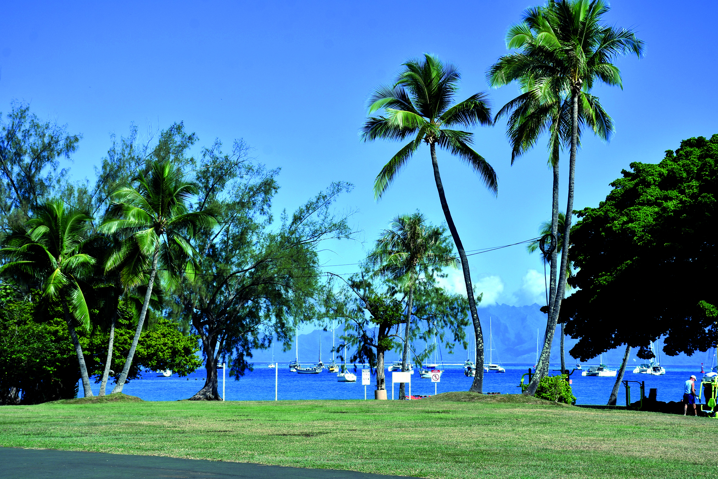 Le projet d’une plateforme flottante au large de Vaira’i divise l’opinion.