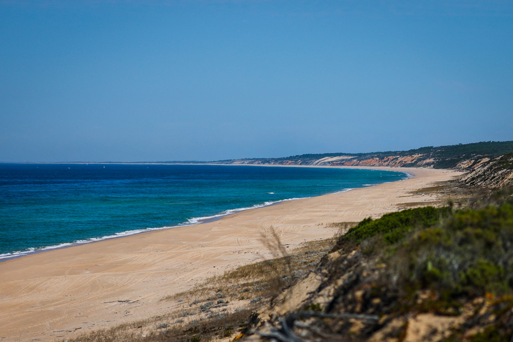 Patricia DE MELO MOREIRA / AFP