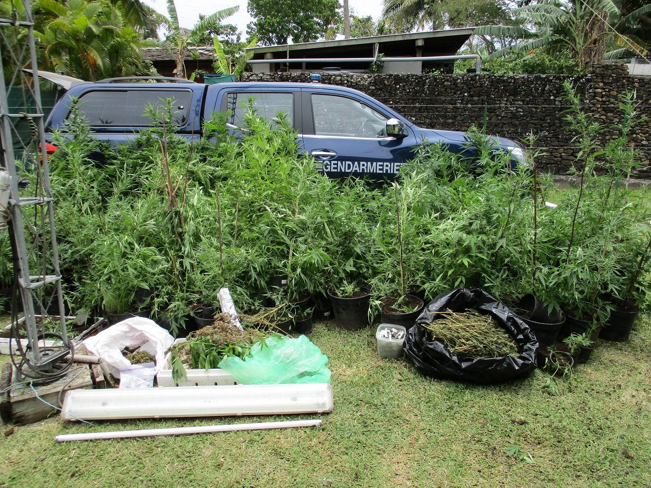 L'un des prévenus projetait d'ouvrir un snack avec l'argent de la drogue avant de raccrocher. (Archives)