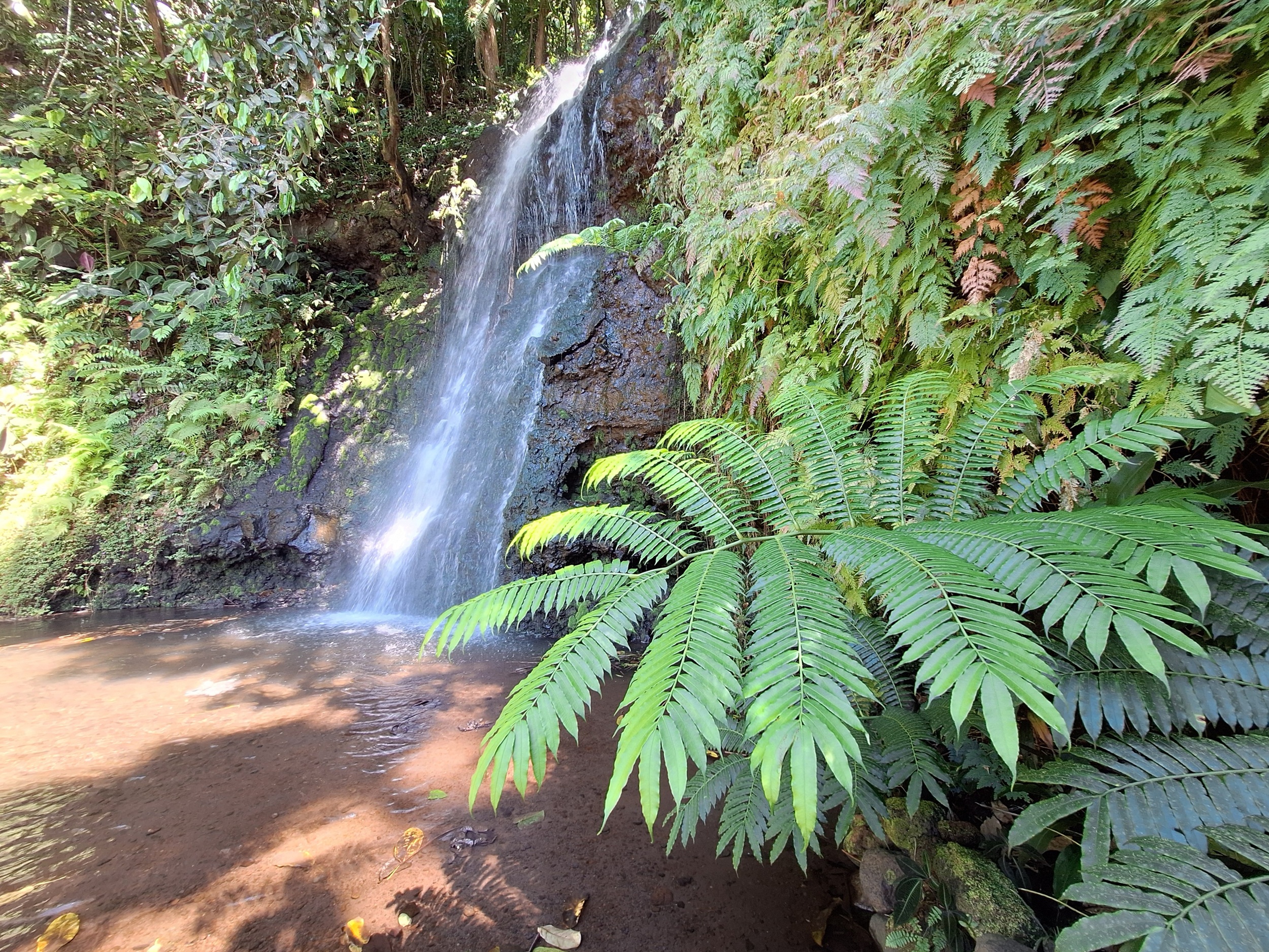 Rendez-vous côté mer pour prolonger les bienfaits de la visite des jardins d’eau de Vaipahi (Crédit : Anne-Charlotte Lehartel).