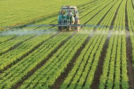 Sans pesticides, le problème des impasses technologiques sur les cultures