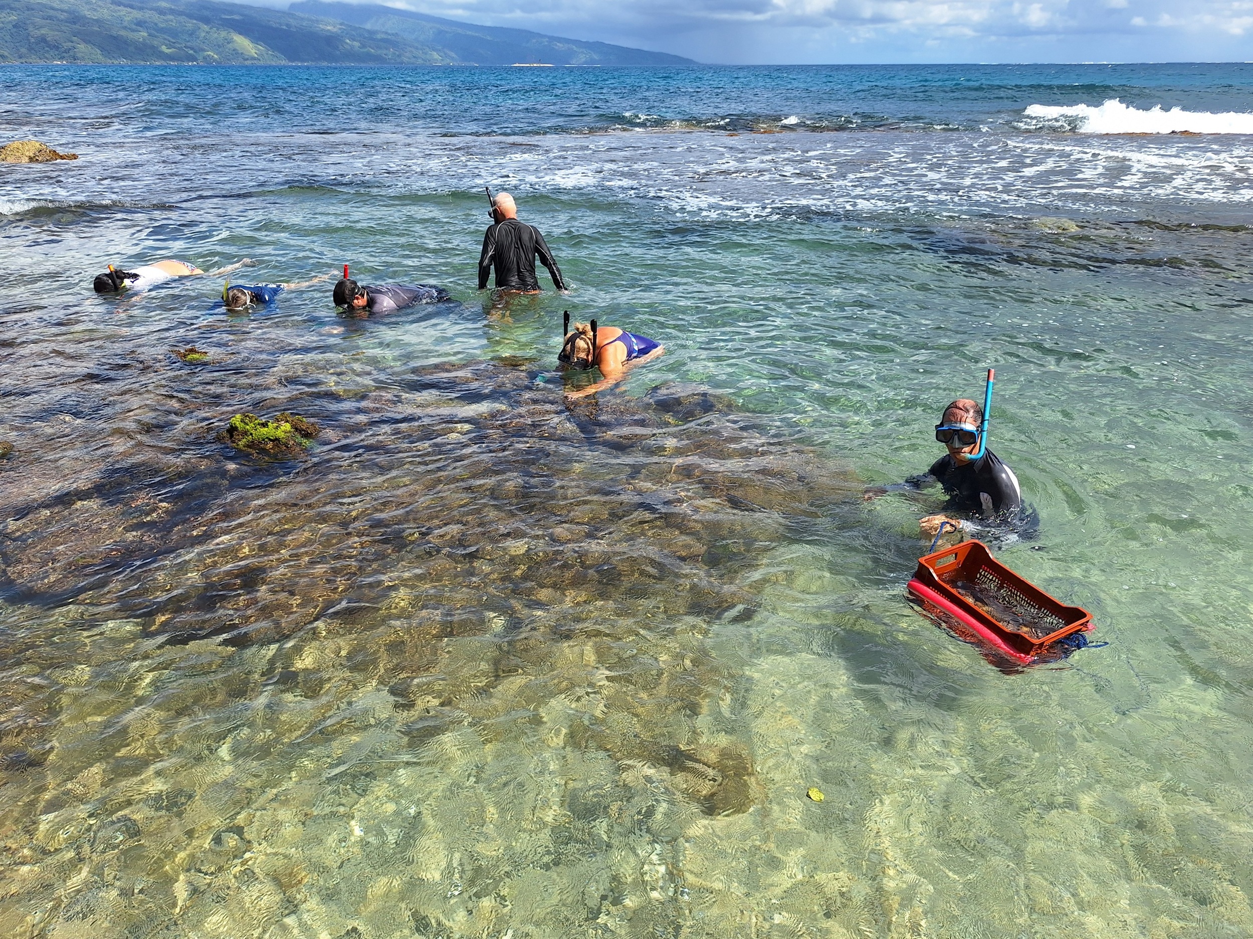 Tama no te tairoto mise sur le développement de jardins de corail.