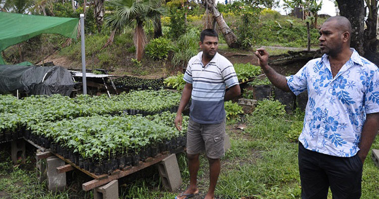 Un millier de jeunes bénéficieront du projet « Du champ à l’assiette »