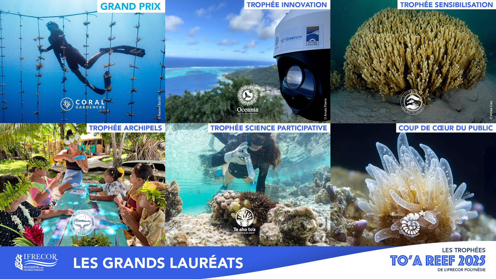 L’Ifrecor dévoile les 13 gagnants des trophées To’a Reef