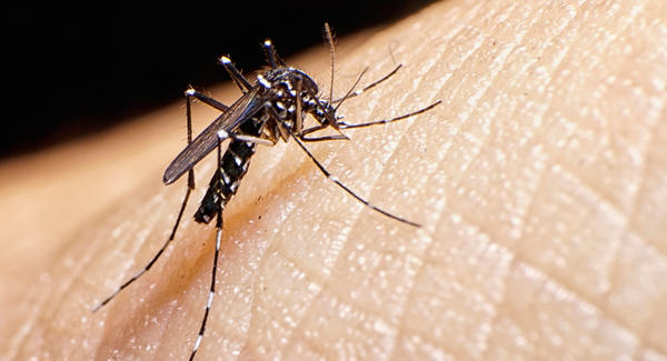 Vietnam: découverte de deux premiers cas d'infection du virus Zika