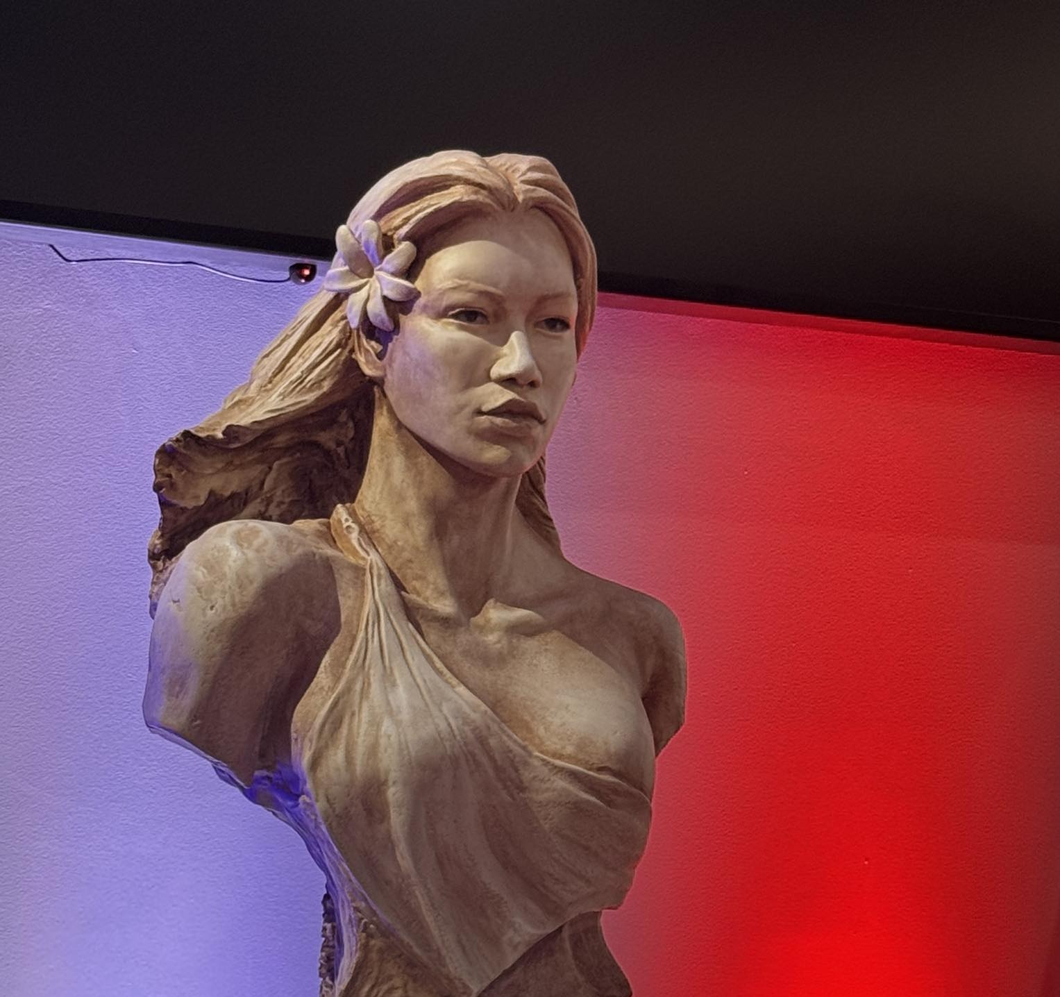 Le buste réalisé par l’artiste Évrard Chaussoy sera exposé à l’entrée de l’hémicycle (Crédit : Facebook/Teva Rohfritsch).