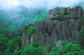 La moitié des sites naturels classés par l'Unesco menacée