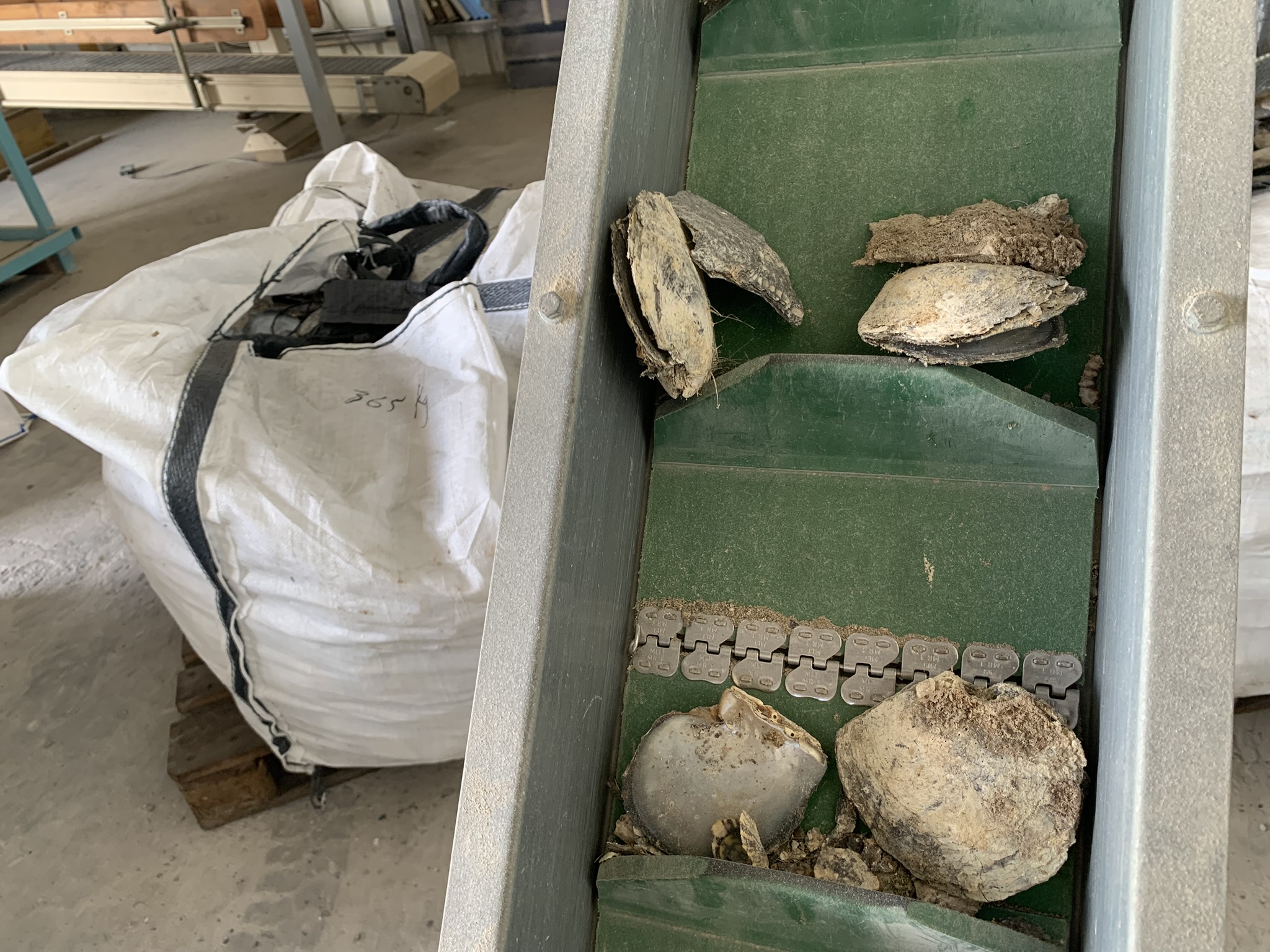 Quelques nacres sur la machine qui sert à broyer les nacres et qui les réduit en poudre de plusieurs diamères ©Vaite Urarii Pambrun