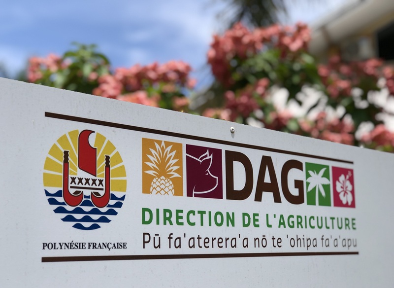 La DAG sous pression syndicale et juridique