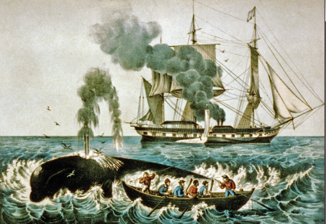 Scène de chasse à la baleine