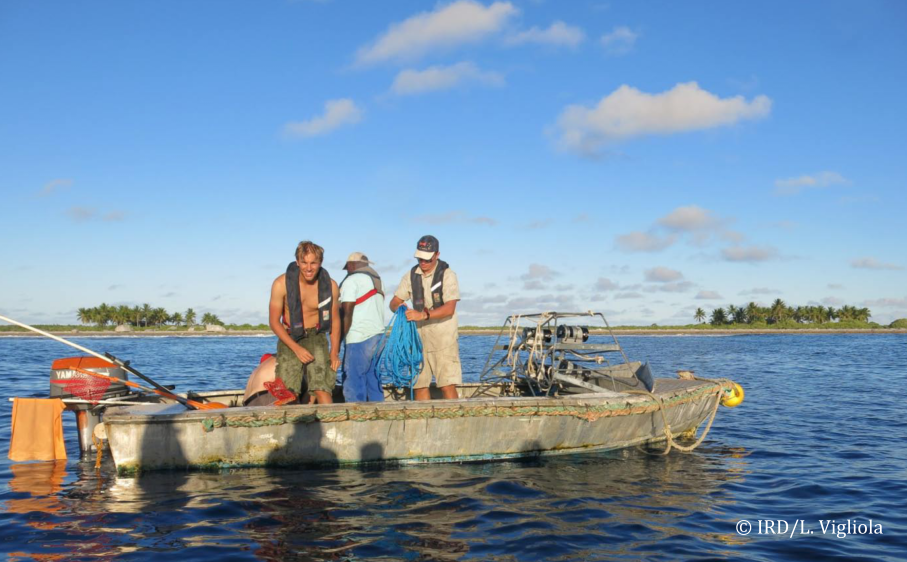 L'atoll de Matureivavao est inhabité. "Après une première plongée exceptionnelle, nous sommes un peu déçus", écrivaient alors les scientifiques dans leur carnet de bord. "La faune est peu abondante, même si requins, carangues et napoléons sont présents. Une partie de l’habitat est dégradé, peut être les séquelles d’un cyclone. Comme chaque jour, des stéréo-caméras appâtées sont déployées."