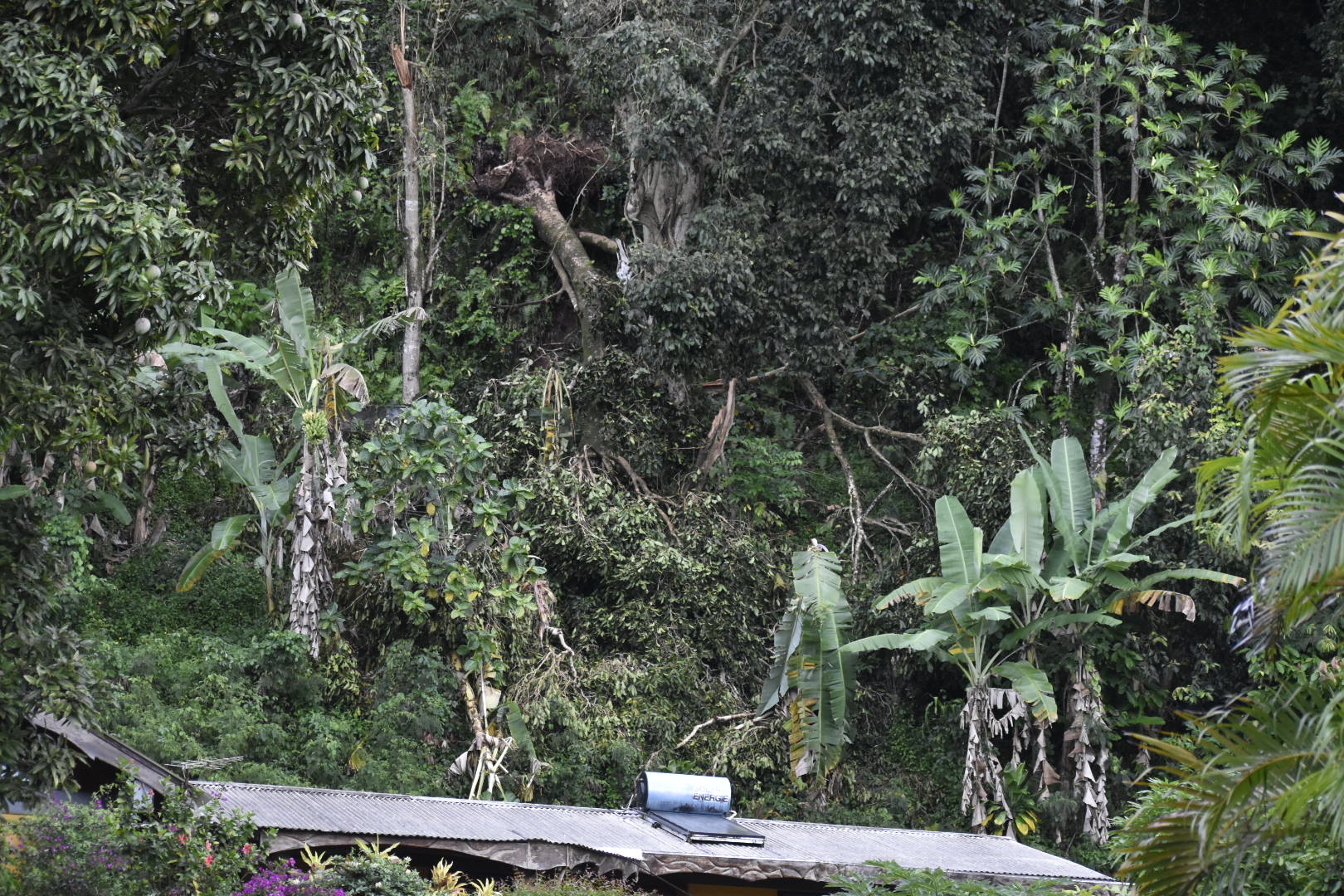 Au moins deux autres sites sensibles ont été identifiés à Afaahiti.