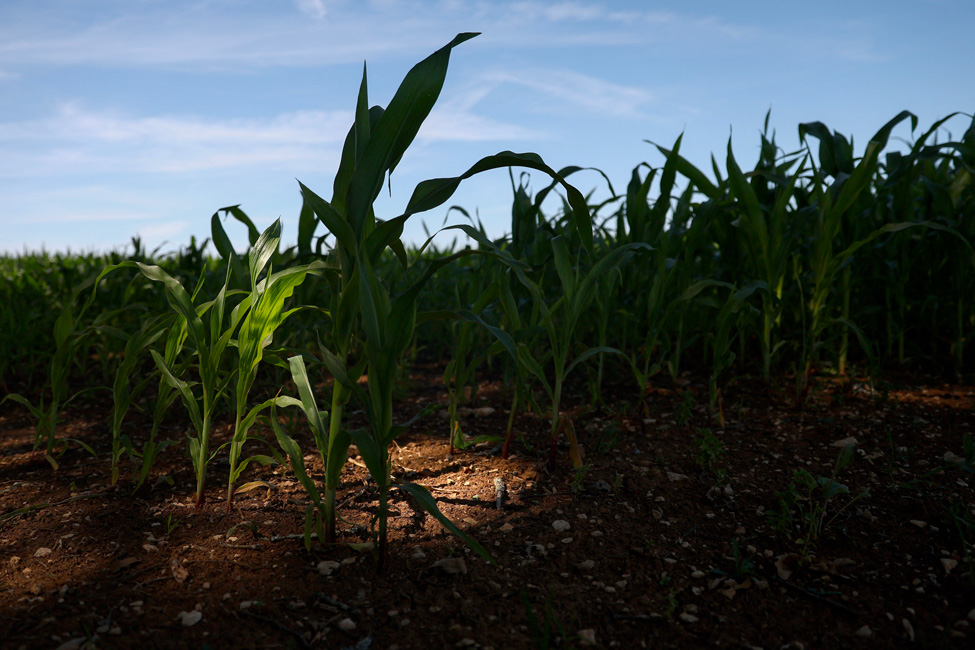 Crédit ROMAIN PERROCHEAU / AFP