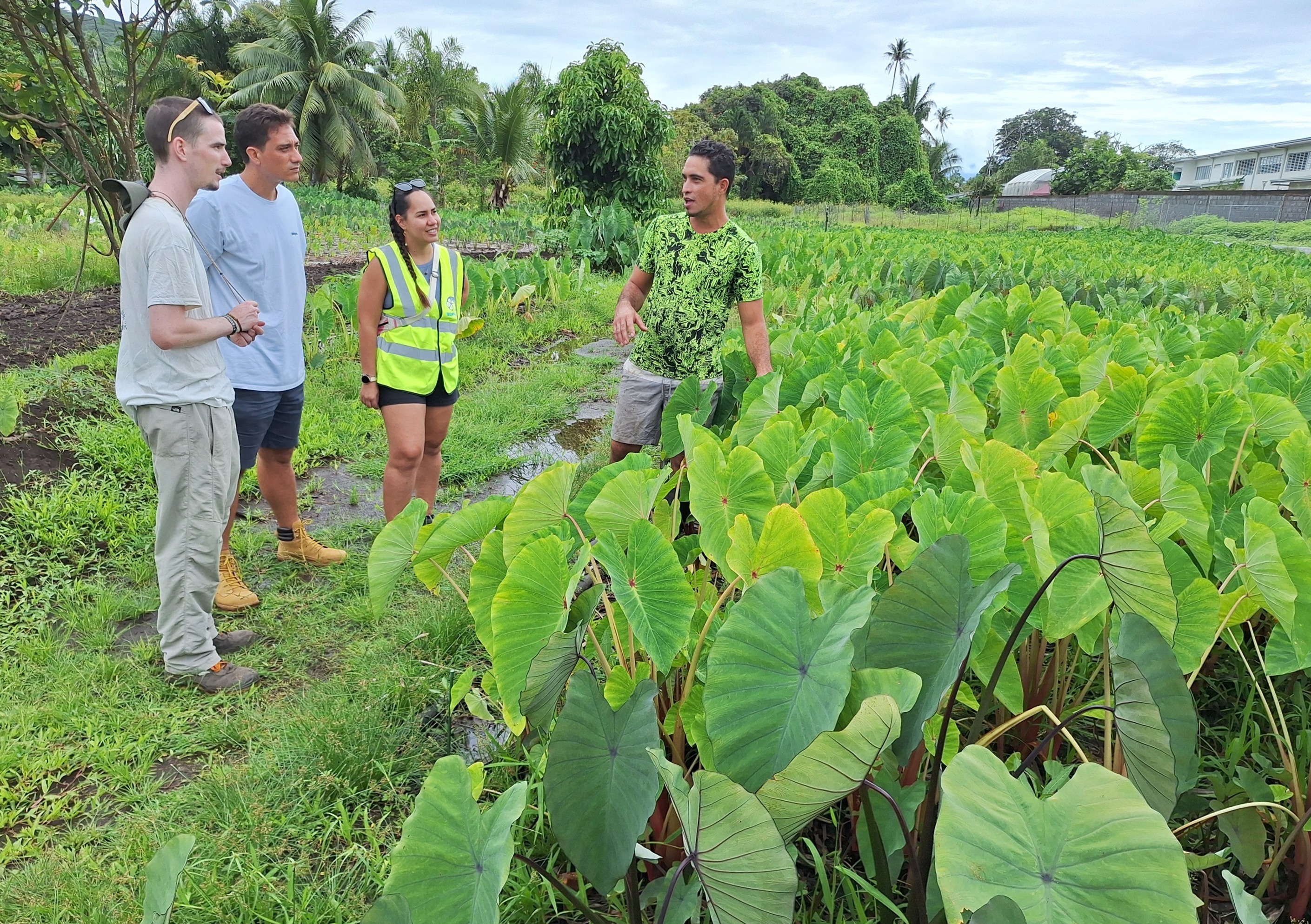 Technival mise sur l’agriculture pour booster sa filière de compostage (Crédit : Anne-Charlotte Lehartel).