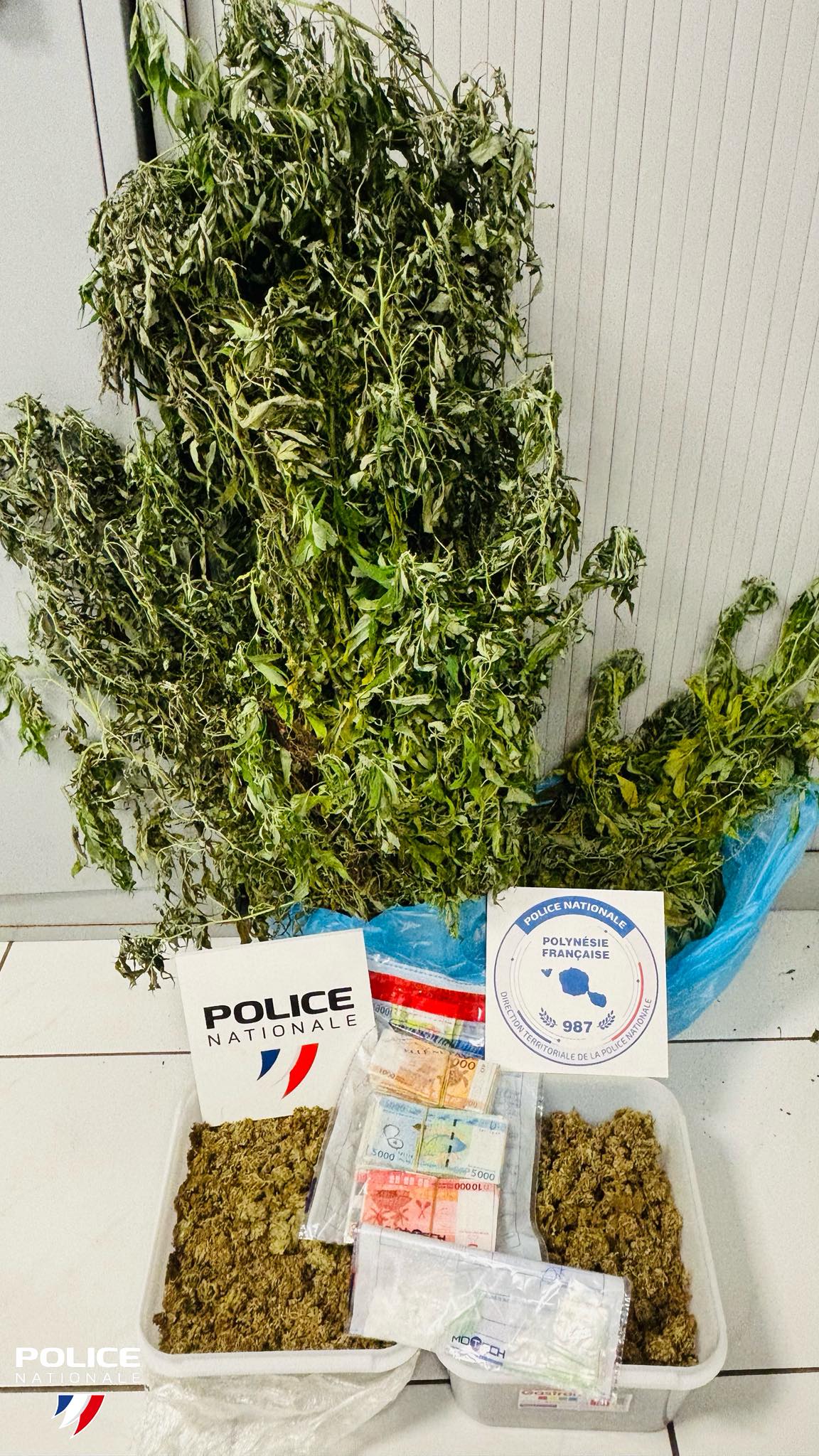 Démantèlement d'un nouveau réseau de stupéfiants