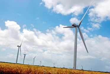 Crédit Frank PERRY / AFP