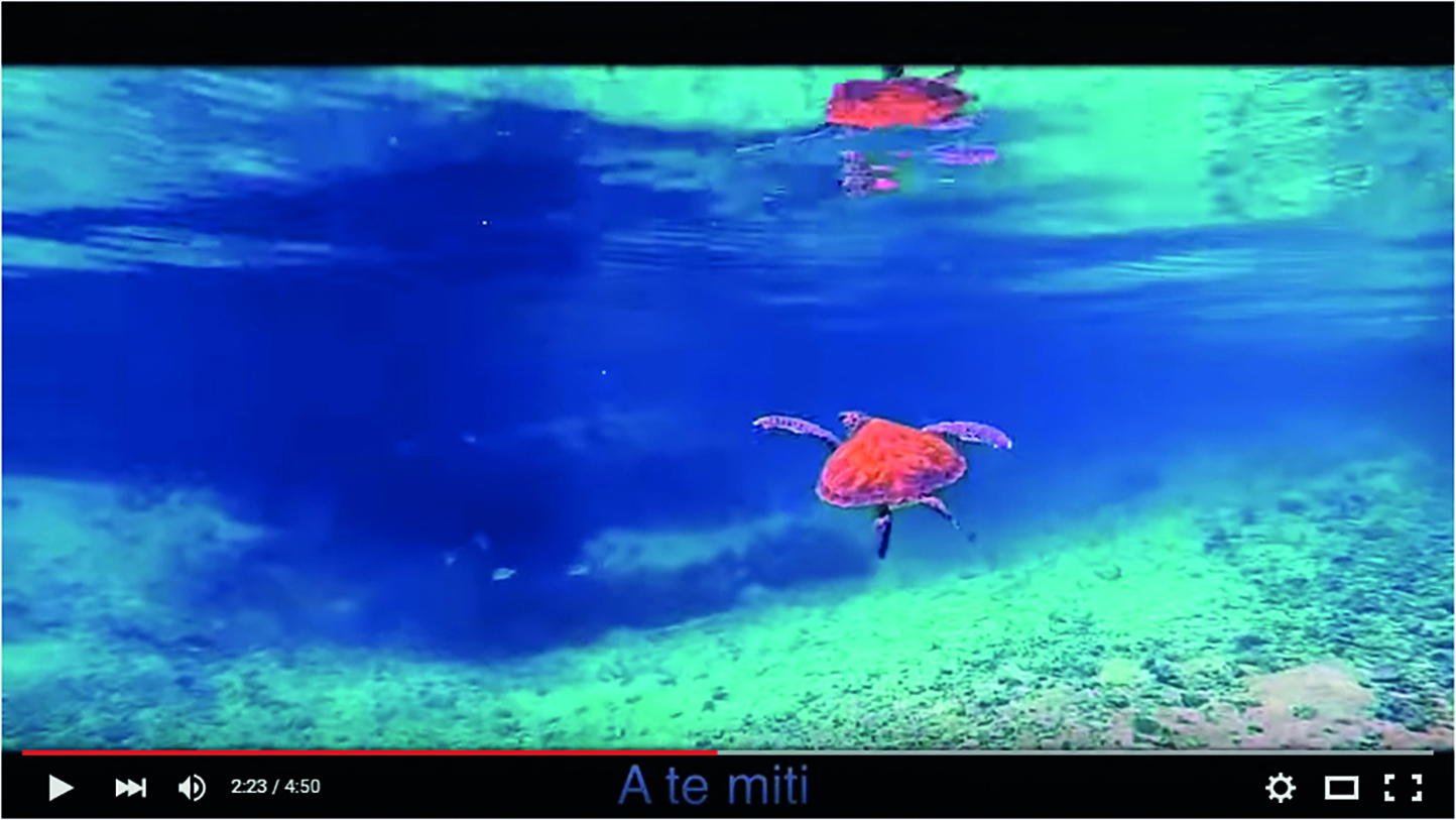 "Save me now - Honu iti e", le clip de Pheal'n pour sauver les tortues