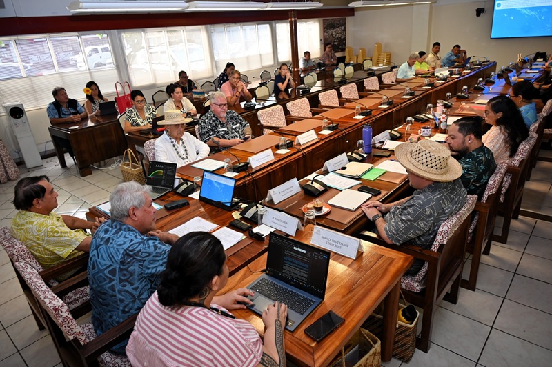 Résolution Temaru adoptée, amendement Cross rejeté