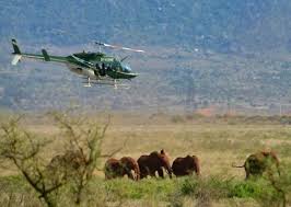 Kenya: des colliers GPS pour suivre les éléphants et les protéger d'un chemin de fer