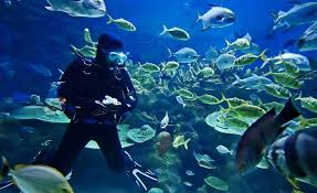 Image d'illustration